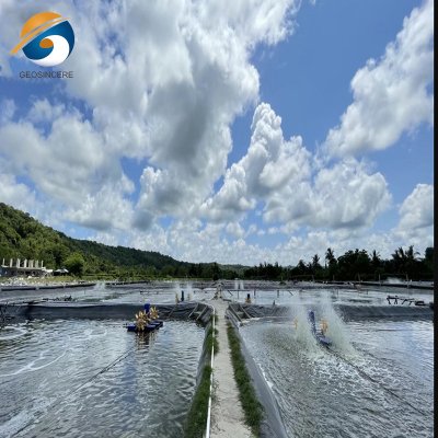 Рыбные и креветочные фермы HDPE Геомембранный вкладыш