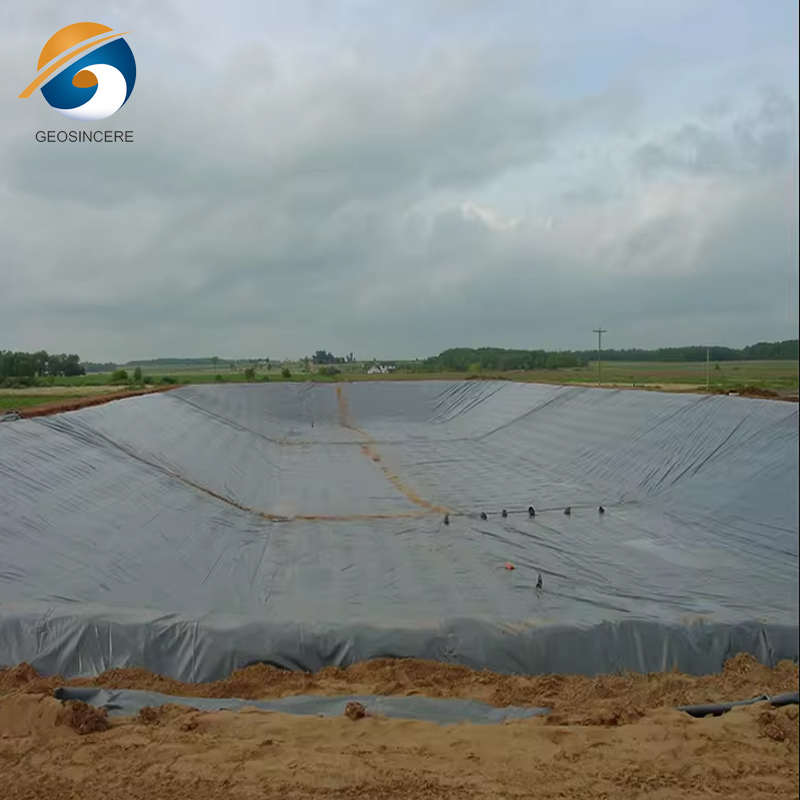 Почвенный покров HDPE прудовый вкладыш геомембрана Почвенный покров HDPE прудовый вкладыш геомембрана