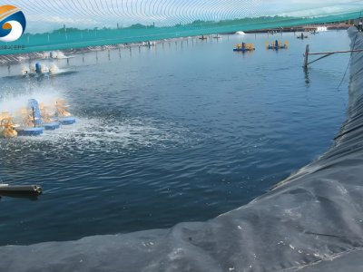 GEOSINCERE Геосинтетика Геомембрана ПВД для пруда с рыбой