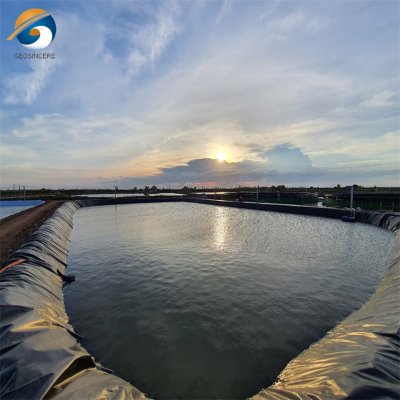 Aрмированные геомембрана полипропилена и HDPE для дамб