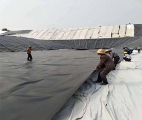 Спорт и легкая атлетика