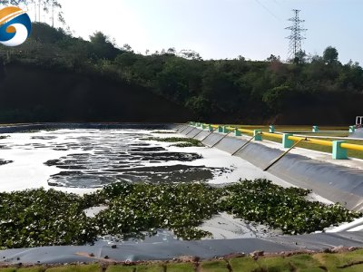 Какой геомембрана HDPE лучше для пруда?
