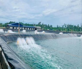 Аквакультура